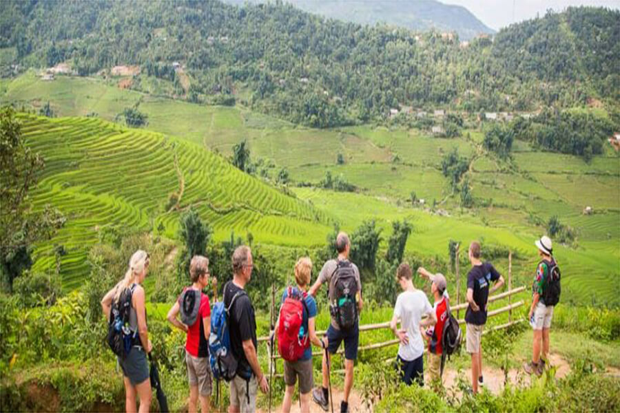 Sapa